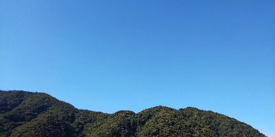 朝イチどっかーん(  ＾∀＾)