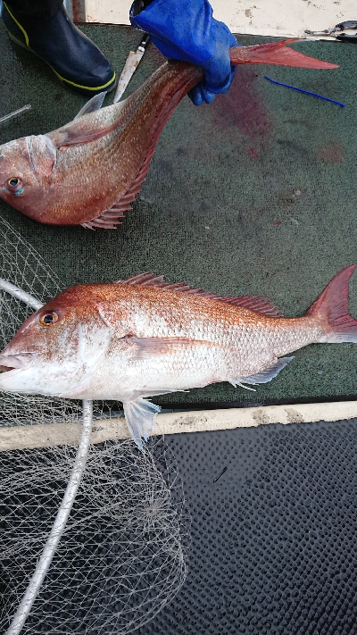 スーパーライトジギング？