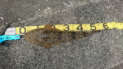 四日市・鈴鹿サーフをランガンマゴチゲーム