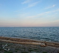 カニ祭り！四日市サーフでマゴチゲーム