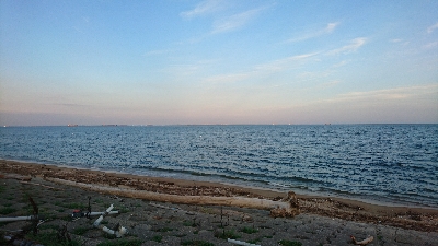 カニ祭り！四日市サーフでマゴチゲーム