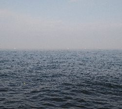 台風通過後の荒喰い