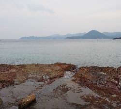 シーカヤック釣行