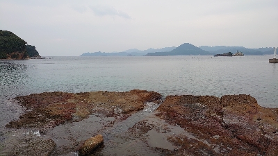 シーカヤック釣行