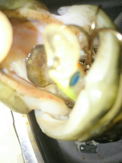 ランカー弱78センチ❗ゲット！！