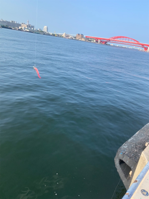 やっぱりツバスとうっかりガザミ