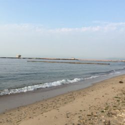 ミニチュア祭り