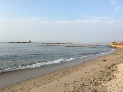 ミニチュア祭り