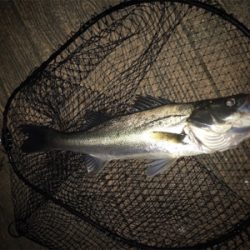 いつもと違う？