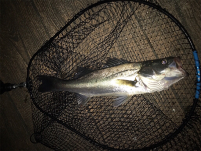 いつもと違う？