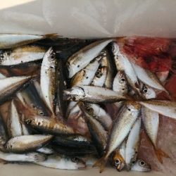 久しぶりの場所