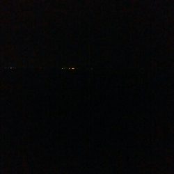 ケンサキイカ4杯！！