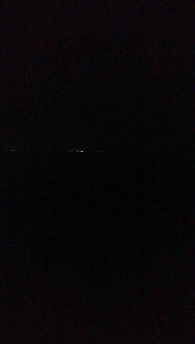 ケンサキイカ4杯！！