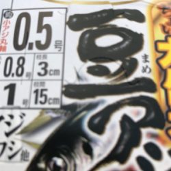 親海公園 豆アジ祭