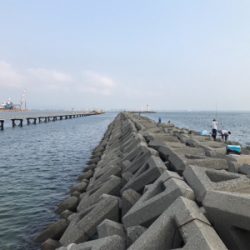 ショゴ狙ってサワラ釣る