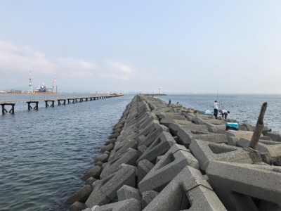 ショゴ狙ってサワラ釣る