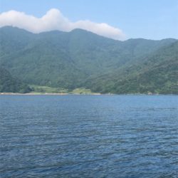 昨日に引き続き