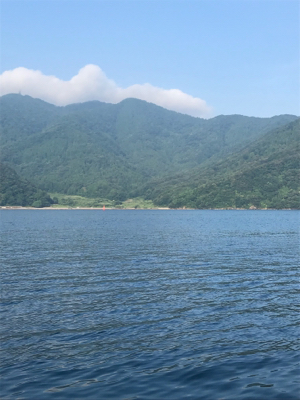 昨日に引き続き