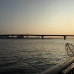 なんとかツバスゲット！