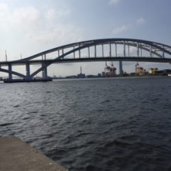 ツバス狙いが、、、