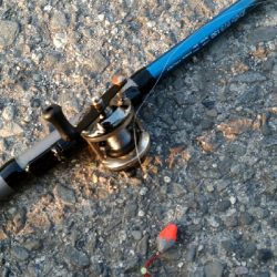 テトラで穴釣り カサゴ一匹バラし、一匹ゲット、サングラス海に落とした