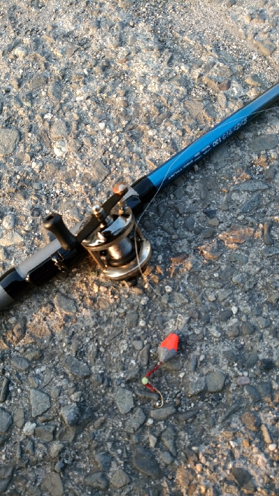 テトラで穴釣り カサゴ一匹バラし、一匹ゲット、サングラス海に落とした