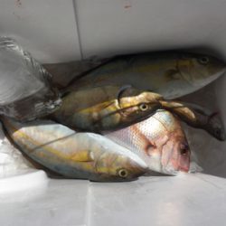 県南でカヤックフィッシング！