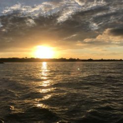 明石  タコ釣り   戎丸