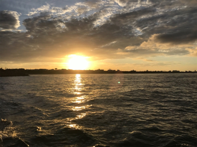 明石  タコ釣り   戎丸