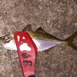 アジンガー1905〜1935 2110〜2140