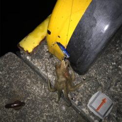 活性アゲアゲ！