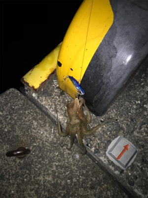 活性アゲアゲ！