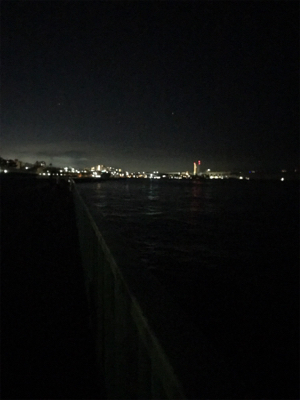 やっぱり渋いケンサキ釣り(＞＜)