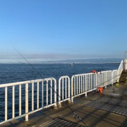 タコ.ツバス.etc…