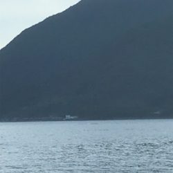 子供たちの魚釣