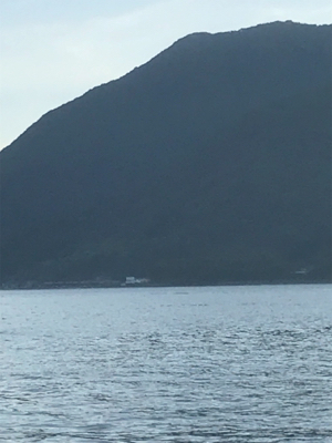 子供たちの魚釣