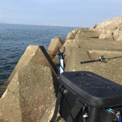 キスは早朝が狙い目(^^)