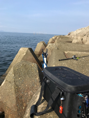 キスは早朝が狙い目(^^)