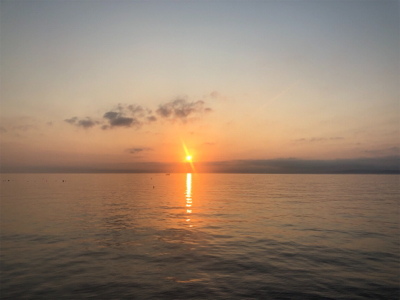 タチウオどこや?