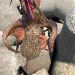 盆休み、1日目。