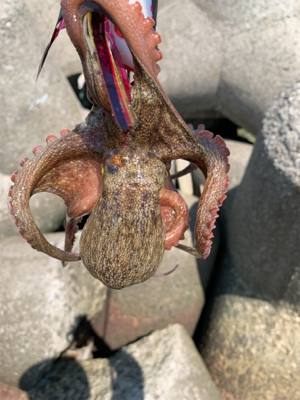 盆休み、1日目。