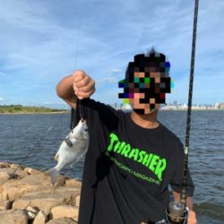 夕方のぶっ込み釣り