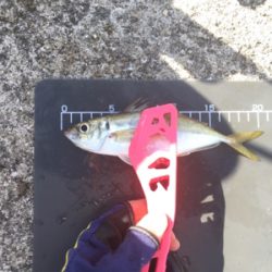 あなたは誰?メッキさん?