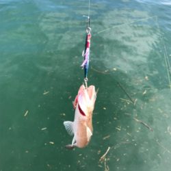 フラットゲームは…