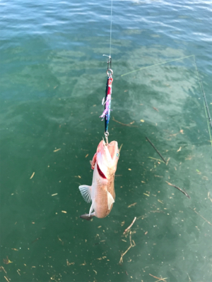 フラットゲームは…