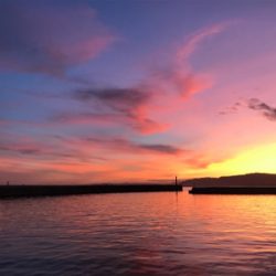 落とし込みサビキ  鳴門にて