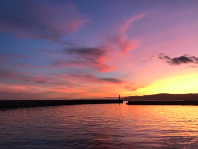 落とし込みサビキ  鳴門にて