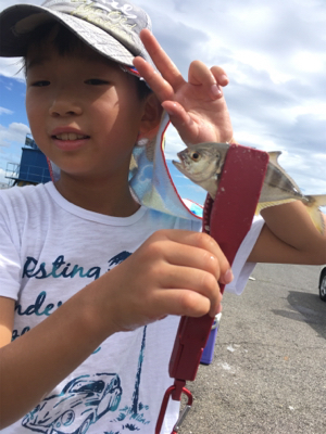 子供でもサビキ楽ちん。暑いけど…