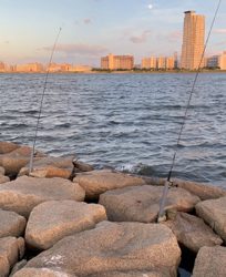 台風前に夕方のぶっ込み釣り