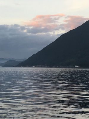 やっぱり、豆アジのみ…